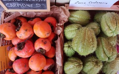 Al mercato contadino di Borgochiesanuova