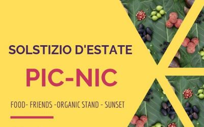 SOLSTIZIO PIC-NIC