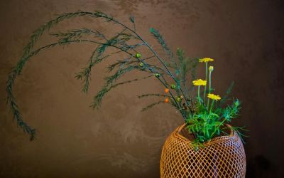 L'Ikebana di Studiospaziobianco