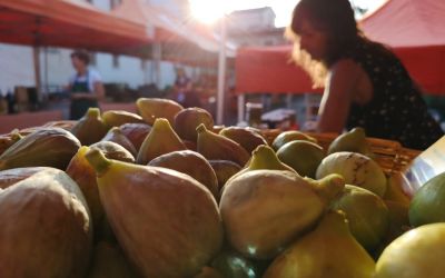 Una petizione popolare per il mercato contadino di Mantova