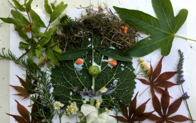 Laboratorio: Collage con gli elementi della natura