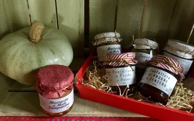 Confezioni regalo Natale 2019