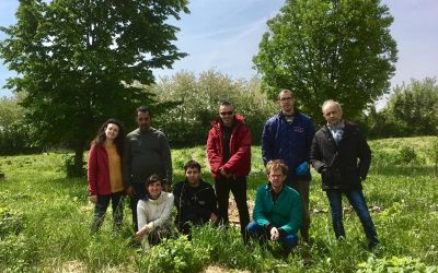 Cencio Molle, l’orto sinergico che aiuta le persone con disabilità psichiatriche
