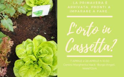 Good Food - il cambiamento nel piatto