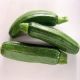 Zucchine
