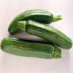 Zucchine